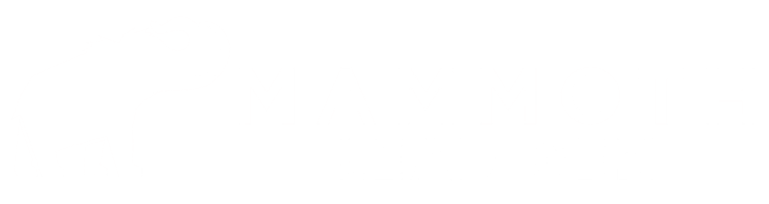 Mammoth Lead Generation