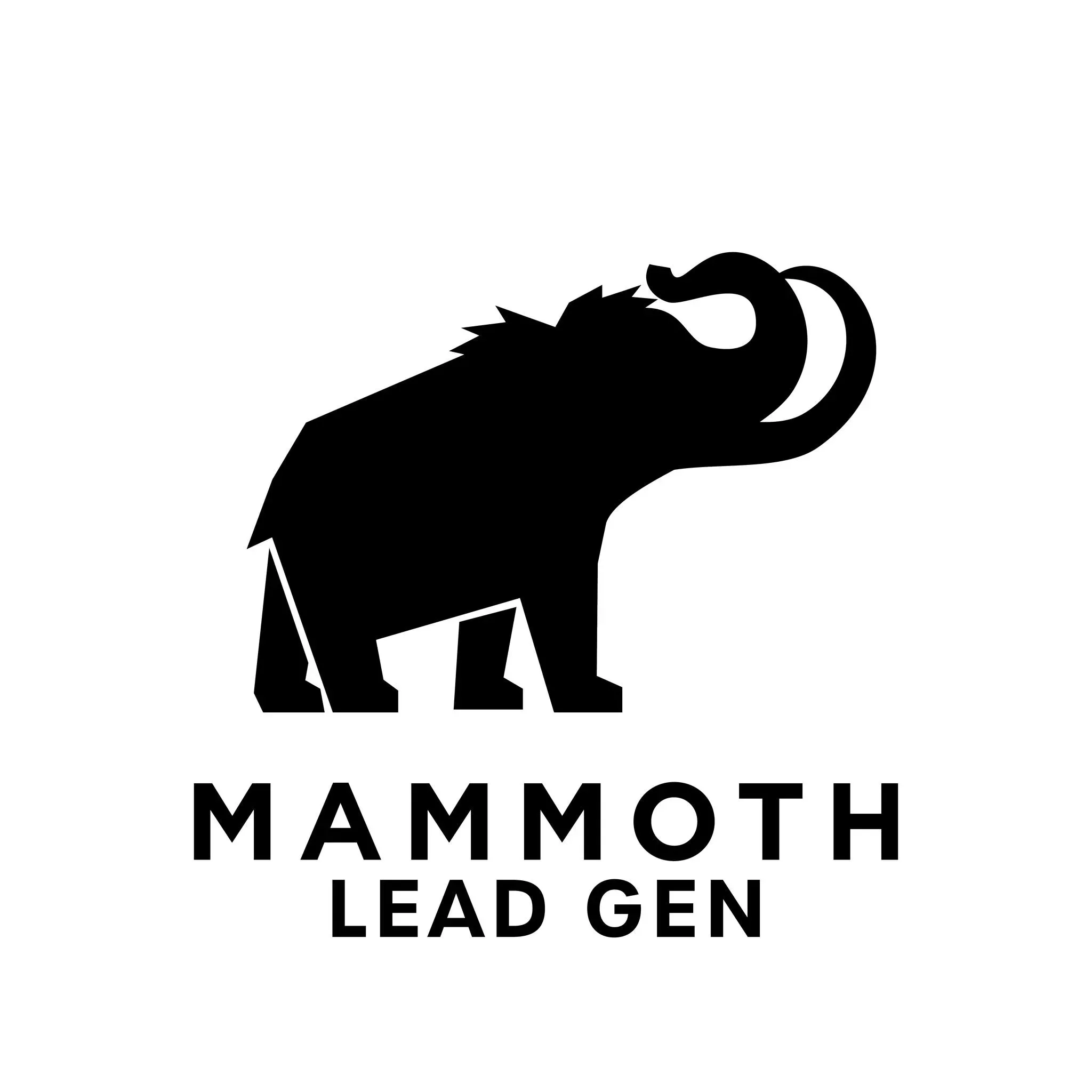 National B2B Lead Generation Services